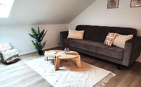 Stylische Altstadtwohnung - Netflix - Smart Tv - Schlafsofa Fuer 3 Personen