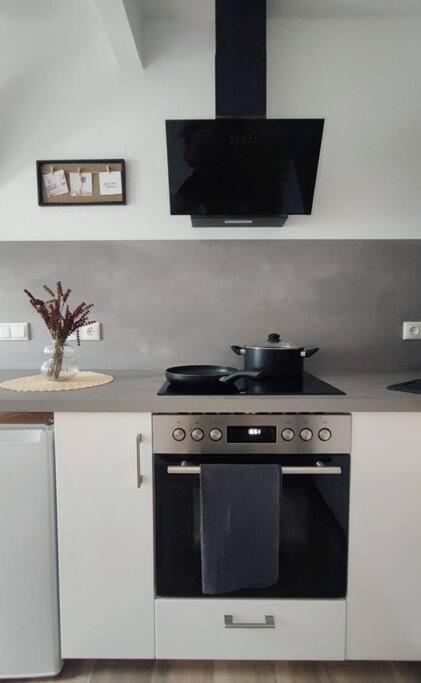 Stylische Altstadtwohnung - Netflix - Smart Tv - Schlafsofa Fuer 3 Personen Erfurt Exterior foto